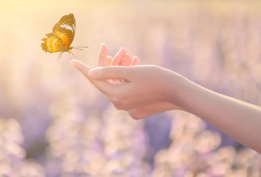 Tratamientos de psicoterapia – Inspira Psicología Tratamientos de psicoterapia – Inspira Psicología